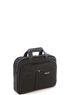 Cellini Optima Business Case